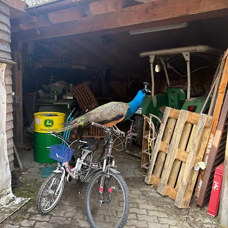 Hoerlkofen